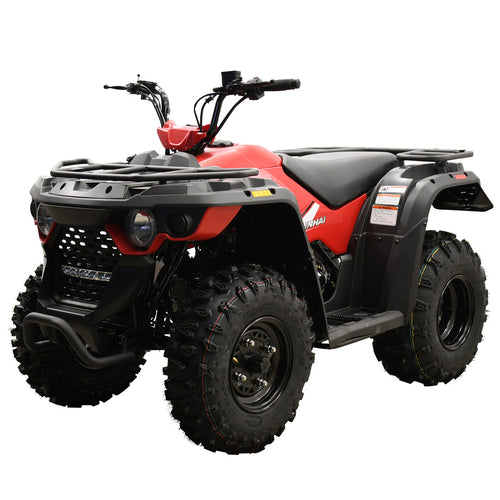 MASSIMO® MSA 220 EFI